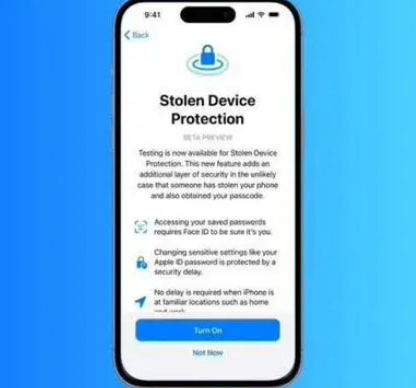 东昌府苹果授权维修店分享被盗设备保护功能开启方法 
