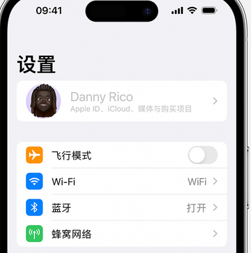 东昌府appleID维修服务iPhone设置中Apple ID显示为灰色无法使用 