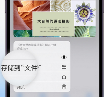 东昌府apple维修中心分享iPhone文件应用中存储和找到下载文件