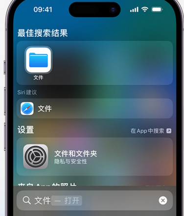 东昌府apple维修中心分享iPhone文件应用中存储和找到下载文件