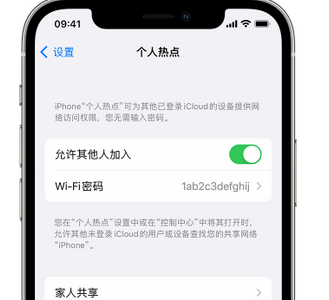 东昌府apple服务站点分享iPhone上个人热点丢失了怎么办 