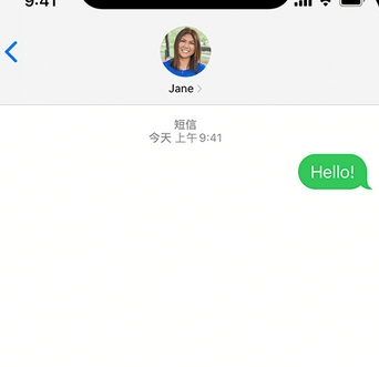 东昌府apple维修iPhone上无法正常发送iMessage信息