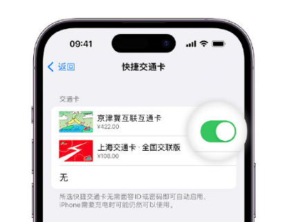 东昌府apple维修点分享iPhone上更换Apple Pay快捷交通卡手绘卡面 