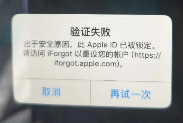 东昌府iPhone维修分享iPhone上正常登录或使用AppleID怎么办 