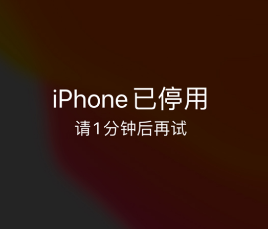 东昌府苹果手机维修分享:iPhone 显示“不可用”或“已停用”怎么办？还能保留数据吗？ 