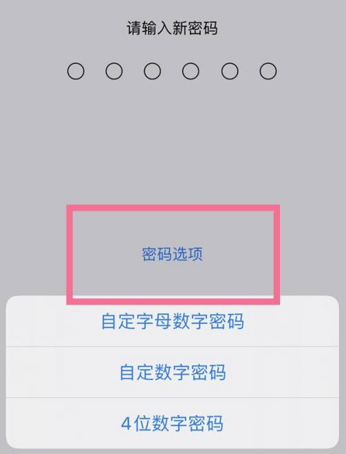 东昌府苹果14维修分享iPhone 14plus设置密码的方法 