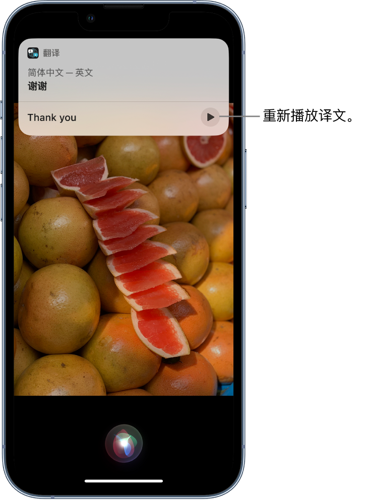 东昌府苹果14维修分享 iPhone 14 机型中使用 Siri：了解 Siri 能帮你做什么 