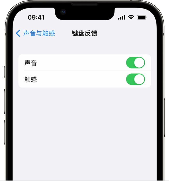 东昌府苹果14维修分享iPhone 14 系列机型如何开启键盘声音或触感反馈 