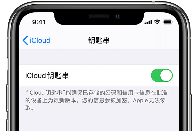 东昌府苹果手机维修分享在 iPhone 上开启 iCloud 钥匙串之后会储存哪些信息 