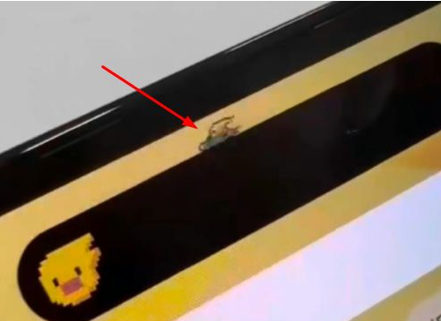 东昌府苹果14维修分享iPhone 14 Pro Max灵动岛怎么养宠物 