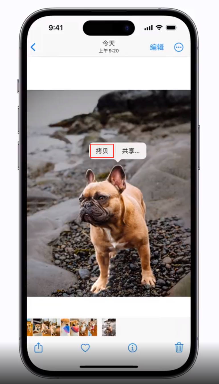 东昌府苹果手机维修分享 iOS 16 自带一键抠图功能 