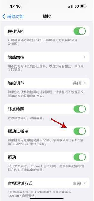 东昌府苹果手机维修分享iPhone手机如何设置摇一摇删除文字 