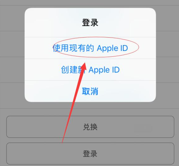 东昌府苹果手机维修分享两台iPhone设备可以同时登录一个Apple ID吗 