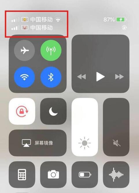 东昌府苹果手机维修分享为 iPhone 12 双卡设置标签 