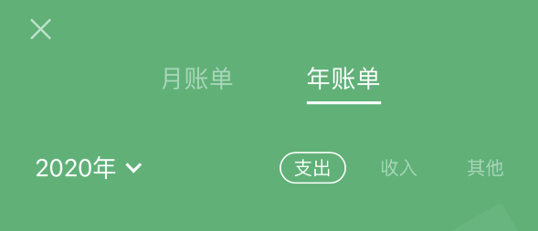 东昌府苹果手机维修分享如何在 iPhone 上查看支付宝和微信年支出账单 
